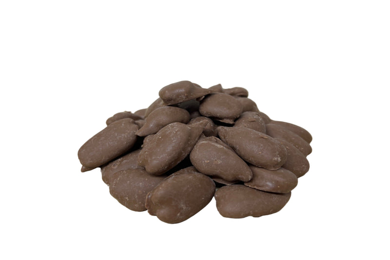 Chocolate Covered Pecans 8oz