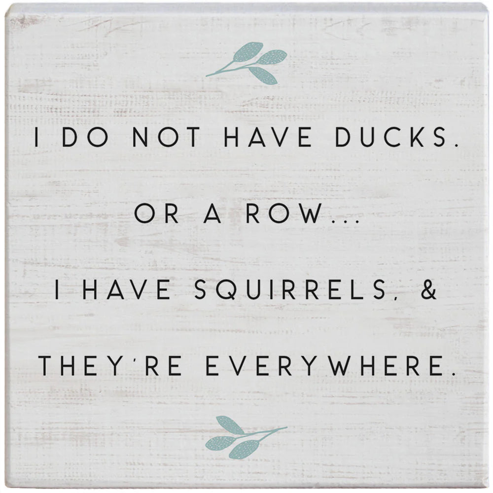 Novelty Sign - Squirrels Everywhere