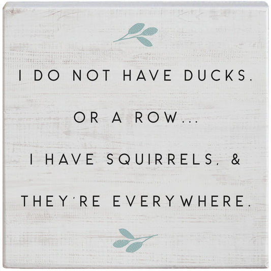 Novelty Sign - Squirrels Everywhere