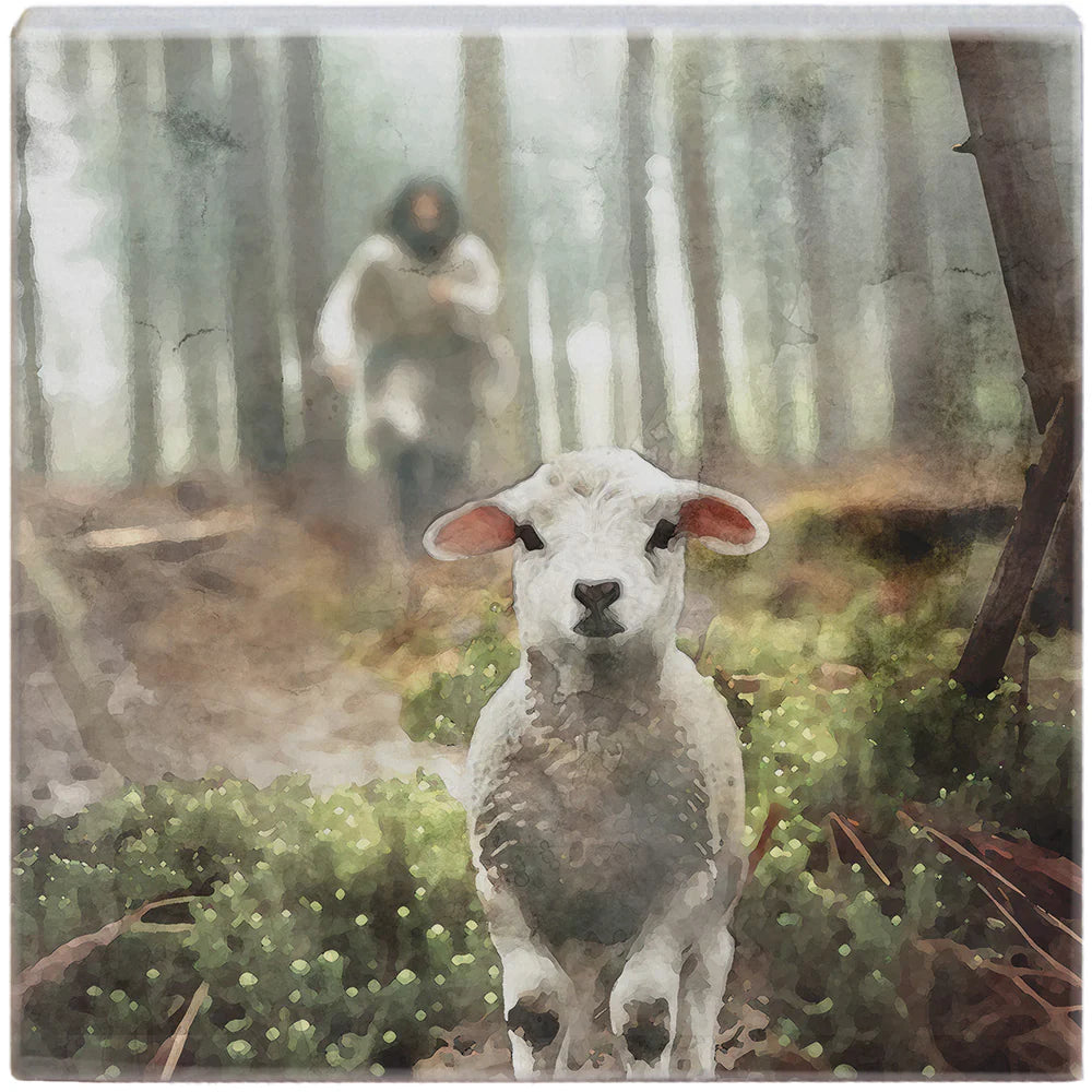 Novelty Sign - Jesus Rescuing Lamb